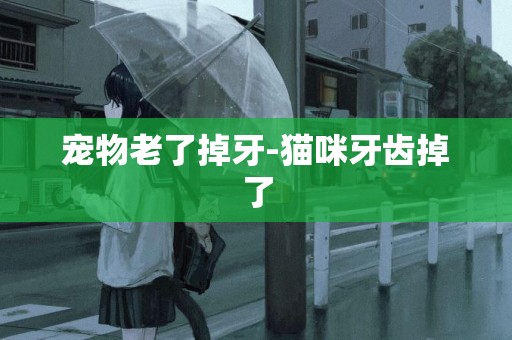 寵物老了掉牙-貓咪牙齒掉了