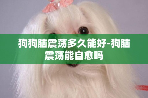 狗狗腦震蕩多久能好-狗腦震蕩能自愈嗎