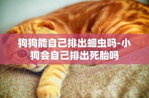 狗狗能自己排出蛔蟲嗎-小狗會自己排出死胎嗎