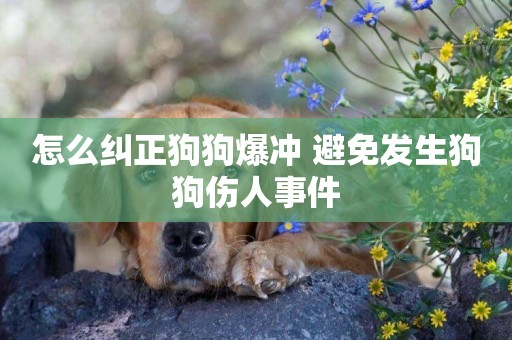 怎么糾正狗狗爆沖 避免發生狗狗傷人事件