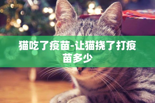 貓吃了疫苗-讓貓撓了打疫苗多少