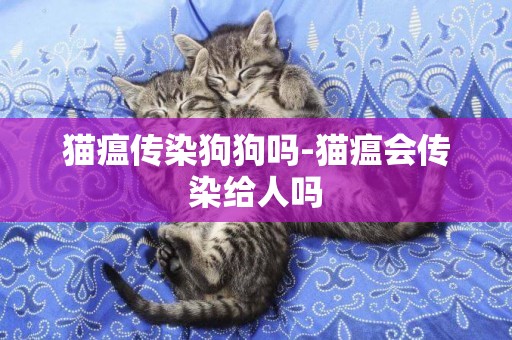 貓瘟傳染狗狗嗎-貓瘟會傳染給人嗎