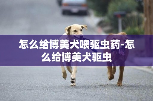 怎么給博美犬喂驅蟲藥-怎么給博美犬驅蟲