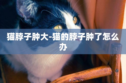 貓脖子腫大-貓的脖子腫了怎么辦
