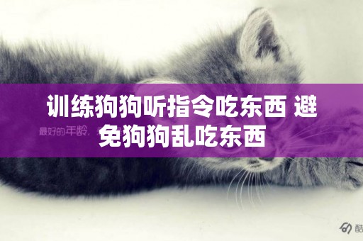 訓練狗狗聽指令吃東西 避免狗狗亂吃東西