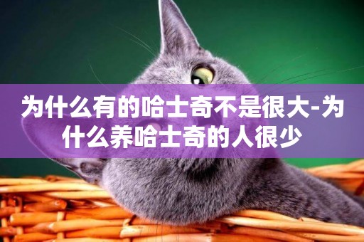 為什么有的哈士奇不是很大-為什么養哈士奇的人很少