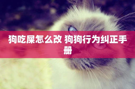 狗吃屎怎么改 狗狗行為糾正手冊
