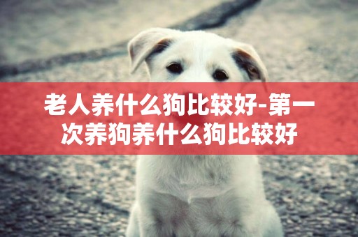 老人養什么狗比較好-第一次養狗養什么狗比較好