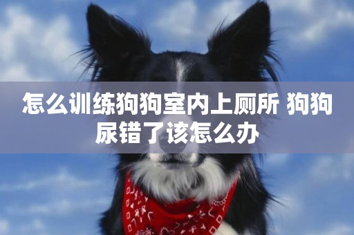 怎么訓練狗狗室內上廁所 狗狗尿錯了該怎么辦