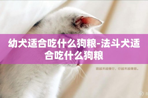 幼犬適合吃什么狗糧-法斗犬適合吃什么狗糧