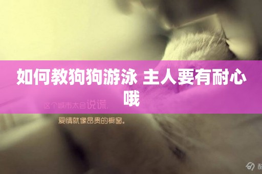 如何教狗狗游泳 主人要有耐心哦