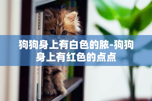 狗狗身上有白色的膿-狗狗身上有紅色的點點