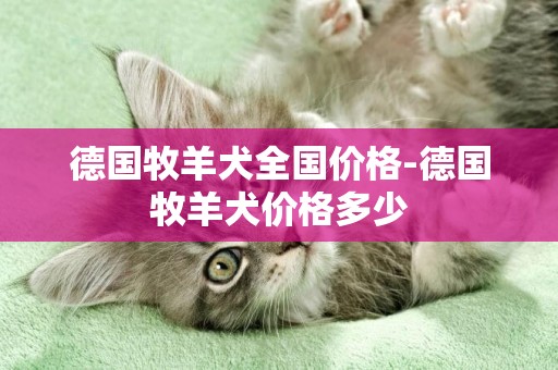 德國牧羊犬全國價格-德國牧羊犬價格多少