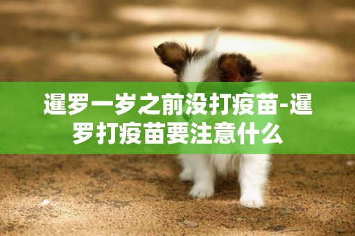 暹羅一歲之前沒打疫苗-暹羅打疫苗要注意什么