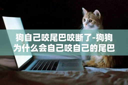 狗自己咬尾巴咬斷了-狗狗為什么會自己咬自己的尾巴呢