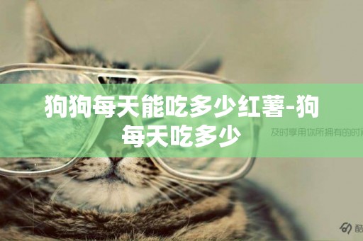 狗狗每天能吃多少紅薯-狗每天吃多少
