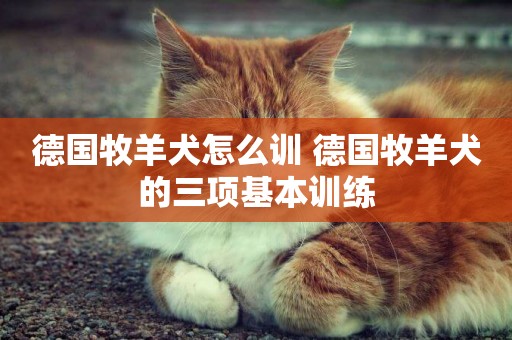 德國牧羊犬怎么訓 德國牧羊犬的三項基本訓練
