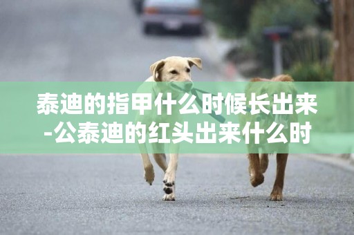 泰迪的指甲什么時候長出來-公泰迪的紅頭出來什么時候正常