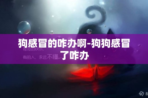狗感冒的咋辦啊-狗狗感冒了咋辦
