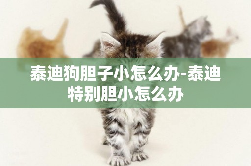 泰迪狗膽子小怎么辦-泰迪特別膽小怎么辦