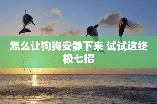 怎么讓狗狗安靜下來 試試這終極七招