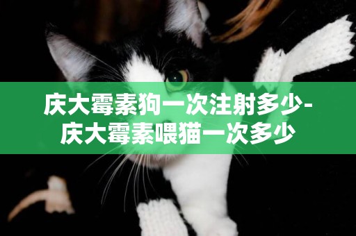 慶大霉素狗一次注射多少-慶大霉素喂貓一次多少