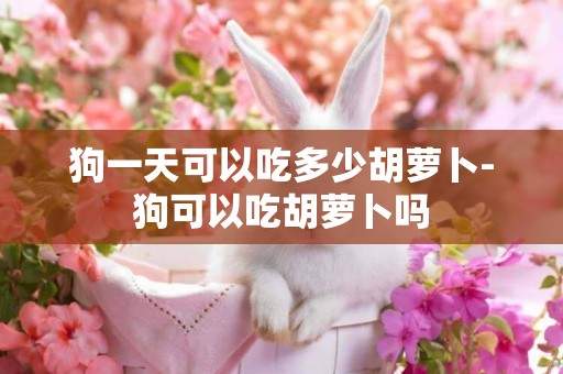 狗一天可以吃多少胡蘿卜-狗可以吃胡蘿卜嗎