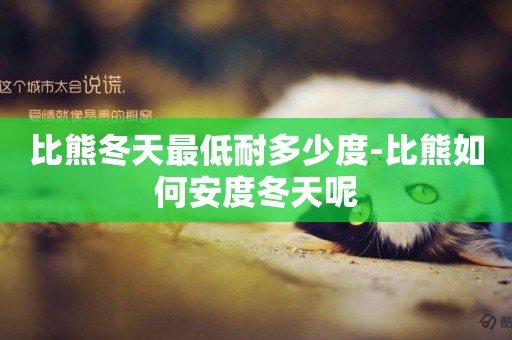比熊冬天最低耐多少度-比熊如何安度冬天呢
