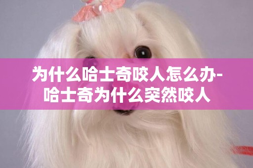 為什么哈士奇咬人怎么辦-哈士奇為什么突然咬人