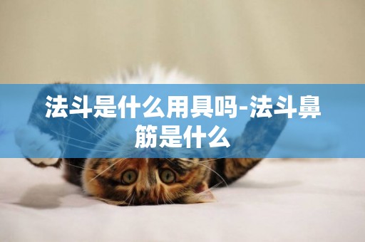 法斗是什么用具嗎-法斗鼻筋是什么