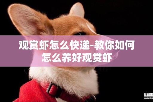 觀賞蝦怎么快遞-教你如何怎么養好觀賞蝦
