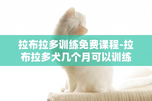 拉布拉多訓練免費課程-拉布拉多犬幾個月可以訓練