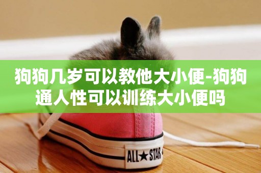 狗狗幾歲可以教他大小便-狗狗通人性可以訓練大小便嗎