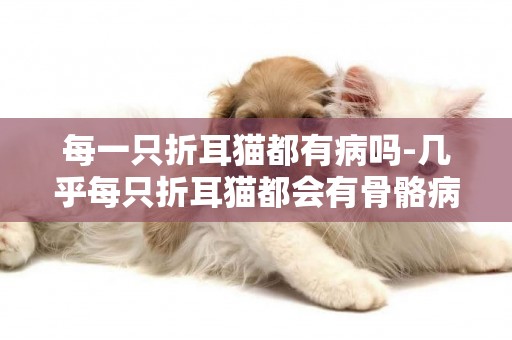 每一只折耳貓都有病嗎-幾乎每只折耳貓都會有骨骼病變