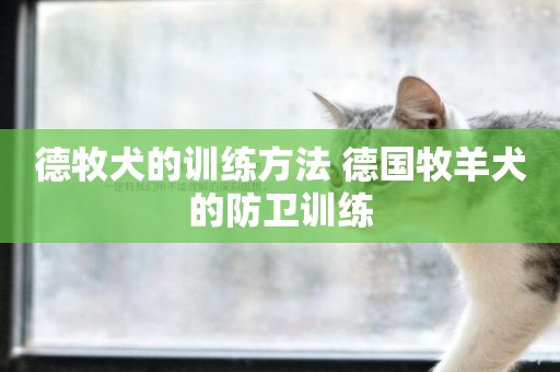 德牧犬的訓練方法 德國牧羊犬的防衛訓練