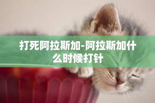 打死阿拉斯加-阿拉斯加什么時候打針