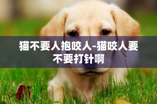 貓不要人抱咬人-貓咬人要不要打針啊