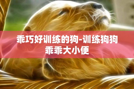 乖巧好訓練的狗-訓練狗狗乖乖大小便