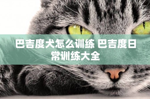 巴吉度犬怎么訓練 巴吉度日常訓練大全
