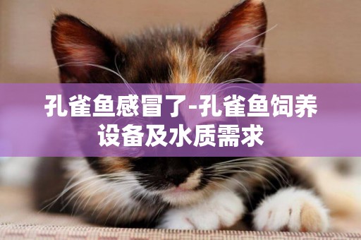 孔雀魚感冒了-孔雀魚飼養設備及水質需求