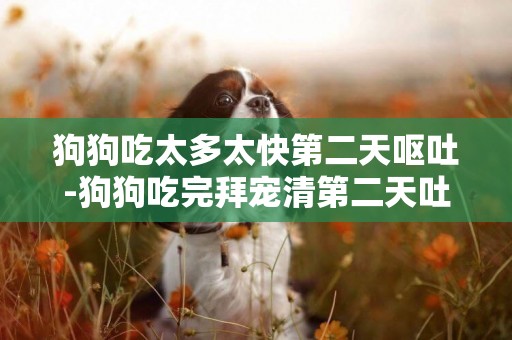 狗狗吃太多太快第二天嘔吐-狗狗吃完拜寵清第二天吐了