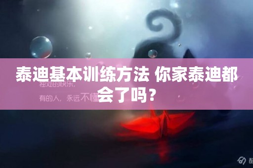 泰迪基本訓練方法 你家泰迪都會了嗎？