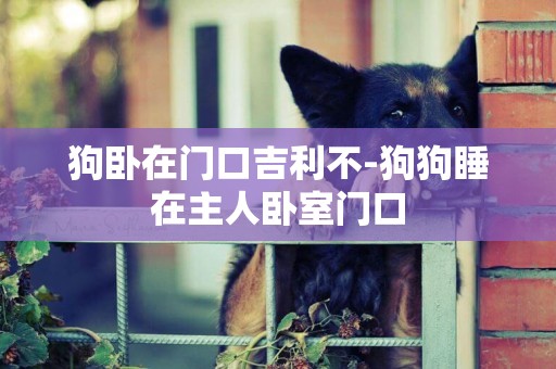 狗臥在門口吉利不-狗狗睡在主人臥室門口