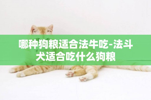 哪種狗糧適合法牛吃-法斗犬適合吃什么狗糧