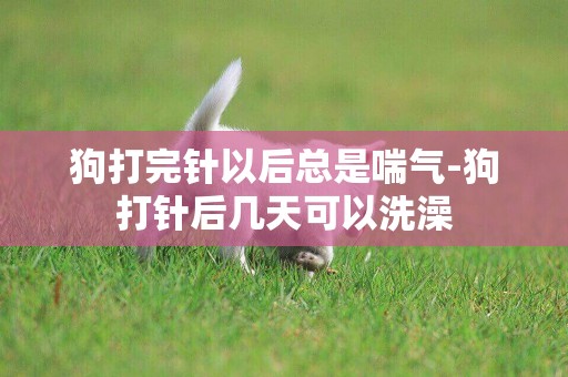 狗打完針以后總是喘氣-狗打針后幾天可以洗澡