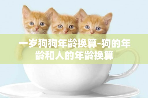 一歲狗狗年齡換算-狗的年齡和人的年齡換算