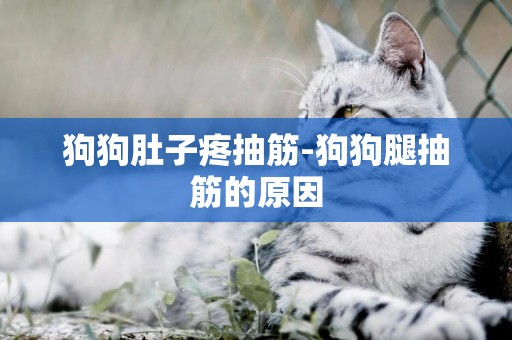 狗狗肚子疼抽筋-狗狗腿抽筋的原因