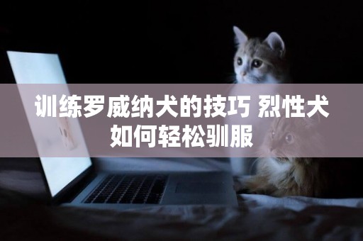 訓練羅威納犬的技巧 烈性犬如何輕松馴服