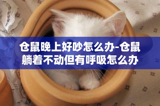 倉鼠晚上好吵怎么辦-倉鼠躺著不動但有呼吸怎么辦