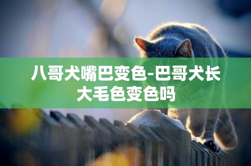 八哥犬嘴巴變色-巴哥犬長大毛色變色嗎